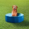 Scooby-Doo Piscine Pour Animaux -Cadeaux Soldes Magasin 460013 large default