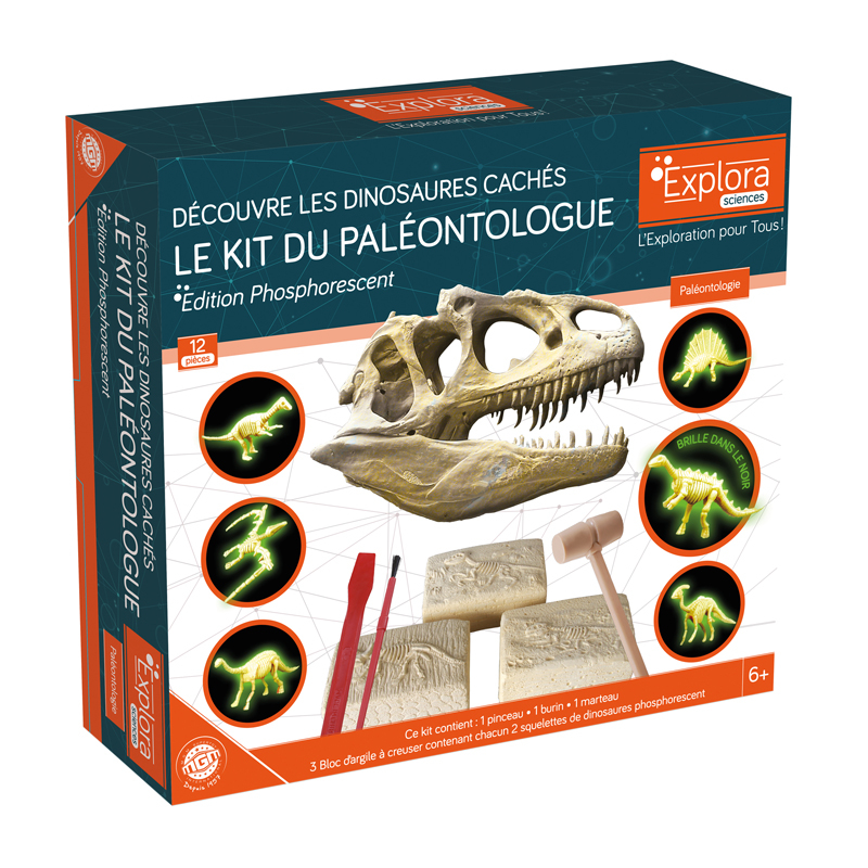 Frozen Squelettte Phosphorescent 3 Frozen Squelettte Phosphorescent