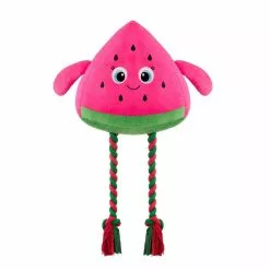 Nerf Jouet Chien Fruits Avec Corde