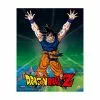 Xbox Cadre 3d Power Levels Dragon Bal - DRAGON BALL Z -Cadeaux Soldes Magasin 490501 large default