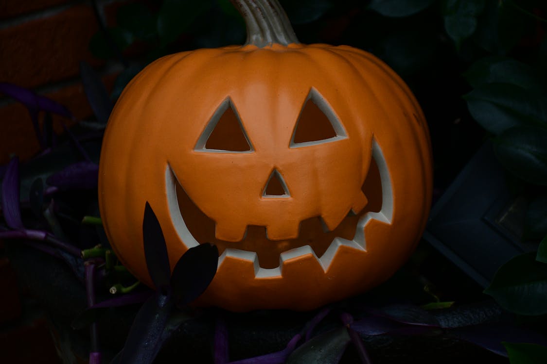 Cadeaux Soldes Magasin -Cadeaux Soldes Magasin pexels photo 14822935